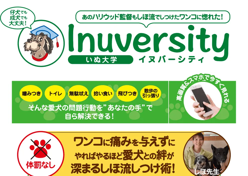 Inuversity(イヌバーシティ)　～いぬ大学～