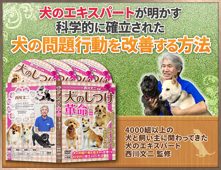 犬のしつけ革命～科学的に確立された犬の問題行動を改善する方法～【4000組以上の犬と飼い主に関わってきた犬のエキスパート　西川文二 　監修】DVD4枚組